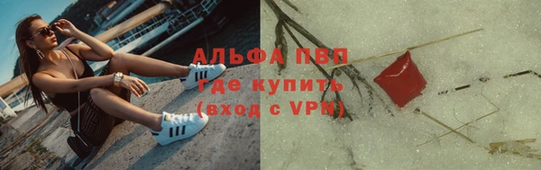 амф Горняк