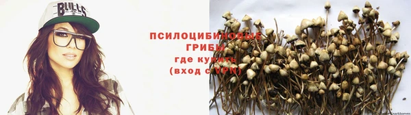 марихуана Нефтекумск