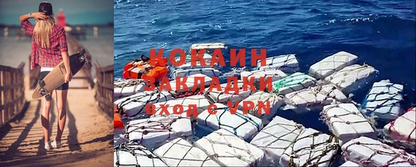 дживик Нея