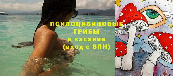 дживик Нея