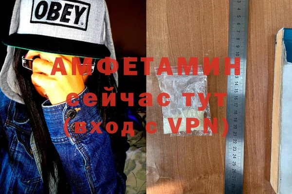 прущие грибы Щучье