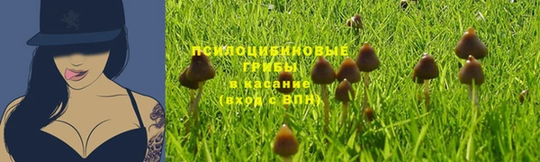 2c-b Нефтегорск