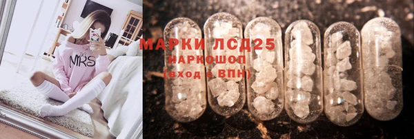 стаф Туринск